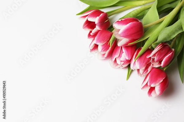 Obraz Tulipany bukiet