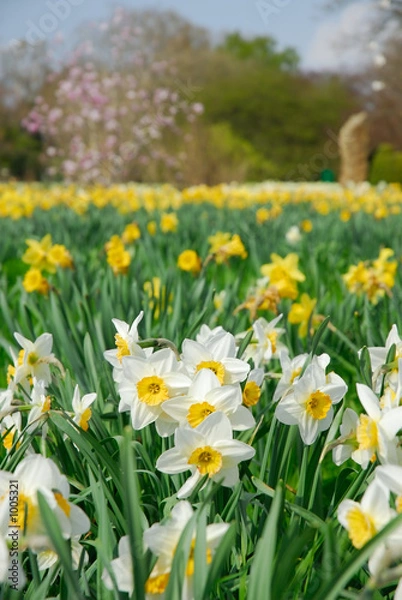 Obraz Dzwonki wielkanocne