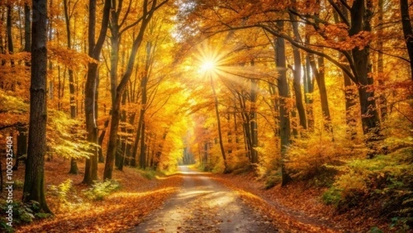 Fototapeta Sunlight filtering through vibrant fall foliage on a forest path, creating a golden glow , Sun-drenched, forest, path