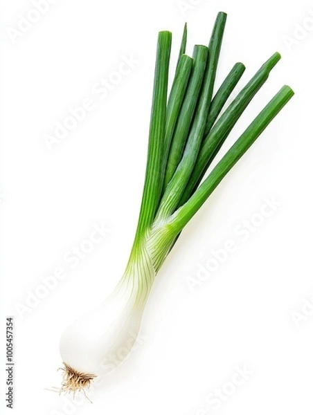 Obraz Green Onions White Surface