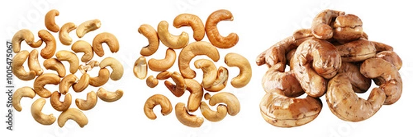 Obraz Roasted cashew nuts isolated on transparent background