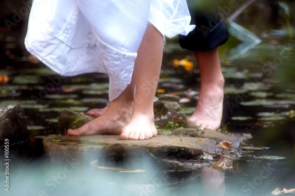 Obraz stepping stones