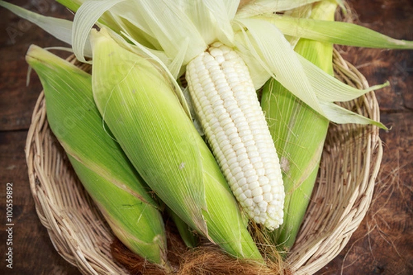 Obraz white corn on wooden background