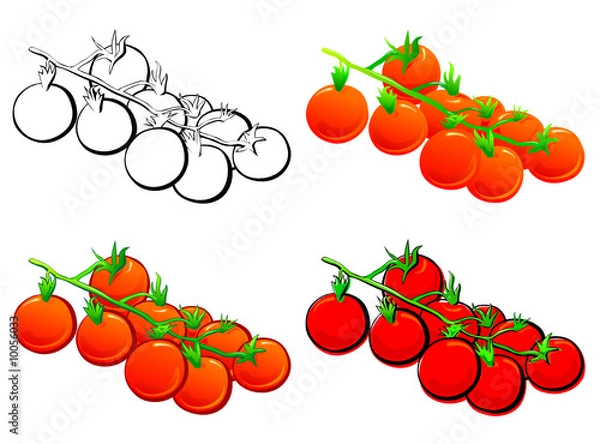 Fototapeta Cherry Tomato