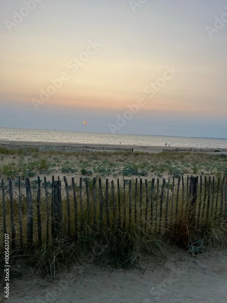 Obraz sunset on the beach