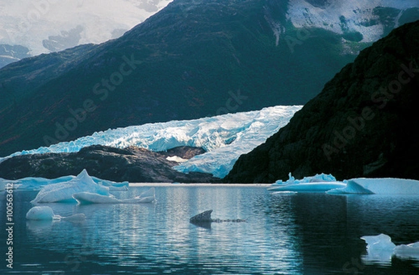 Obraz Patagonia - Lago Onelli