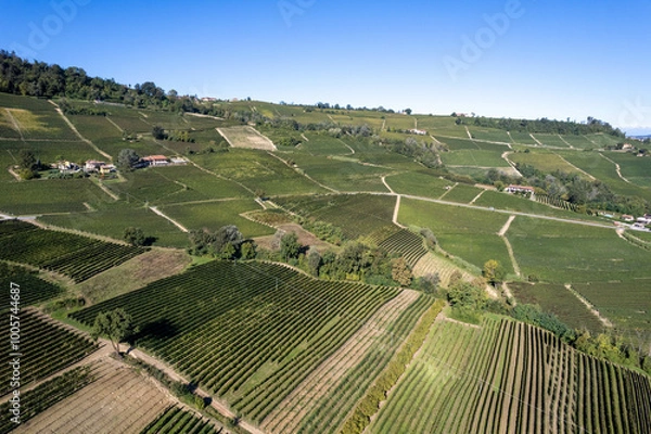 Obraz Landscape of Langhe and Monferrato vineyards