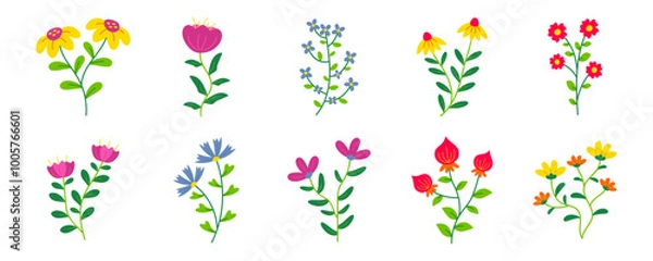 Fototapeta Flower Illustration Set