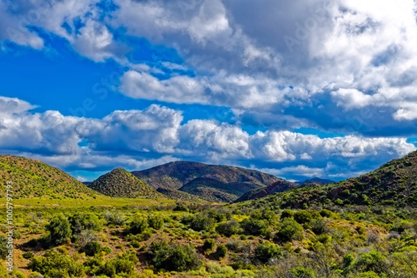 Obraz Landscape of green Little Karoo hills and clouds following rain near Calitzdorp in the Western Cape, South Africa