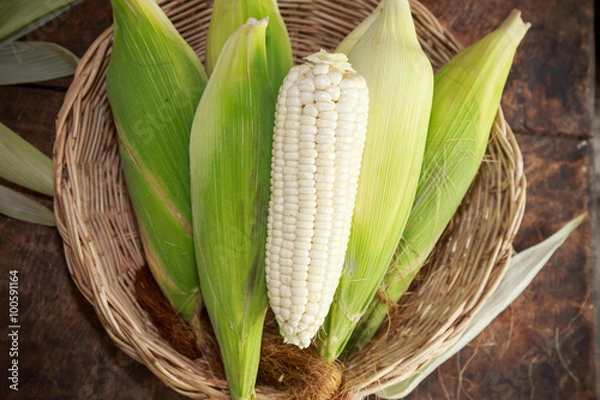 Obraz white corn on wooden background