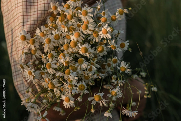 Obraz bee on a flower
