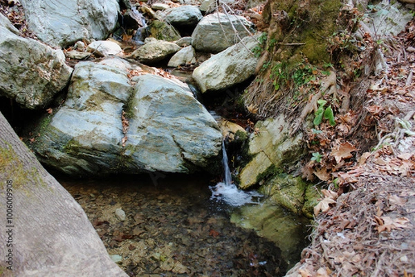 Fototapeta The path of the centaurs (after Cyclone Daniel) Portaria Pelion Greece