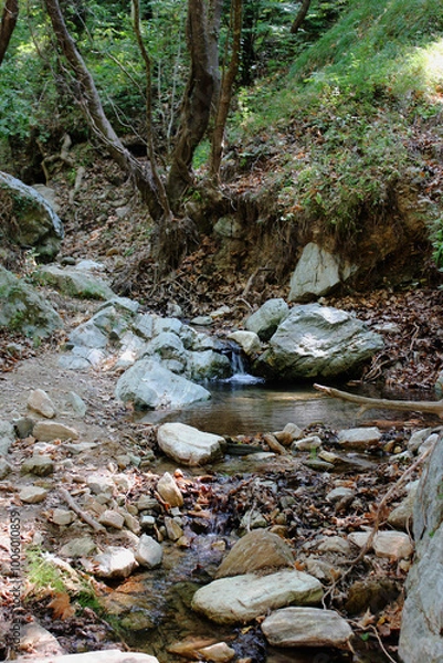Fototapeta The path of the centaurs (after Cyclone Daniel) Portaria Pelion Greece