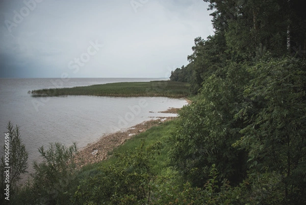 Obraz lake in the forest