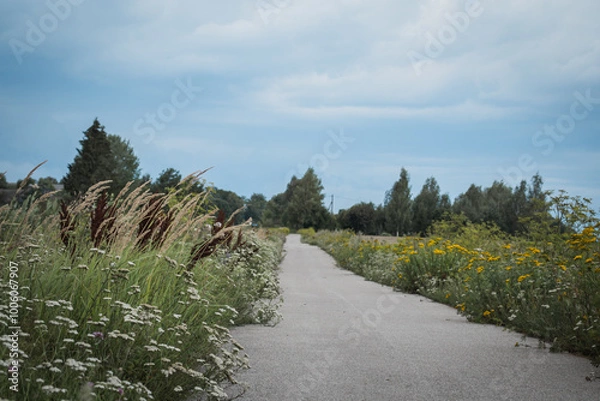 Obraz path in the woods