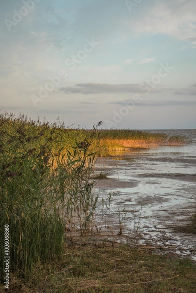 Obraz sunset over the lake