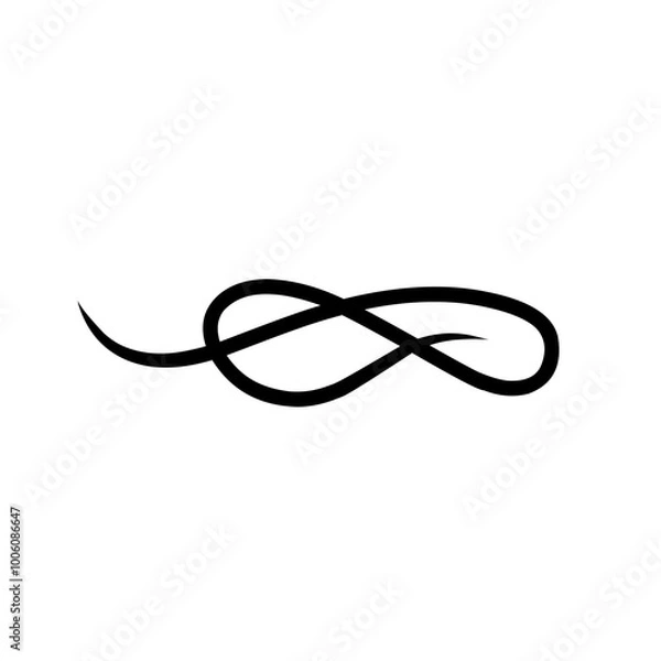 Obraz Calligraphic swoosh tail 