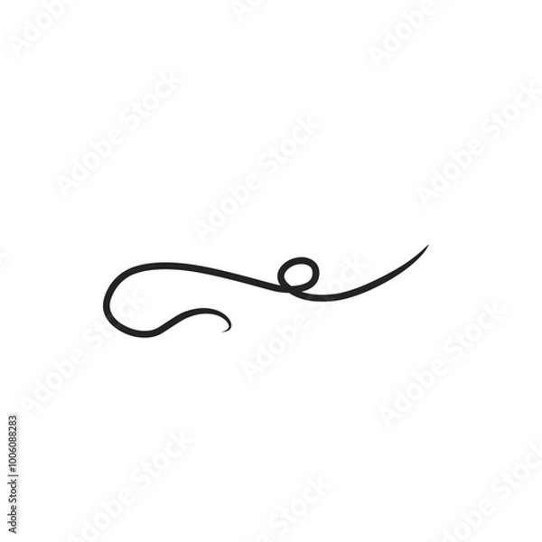 Fototapeta Calligraphic swoosh tail 