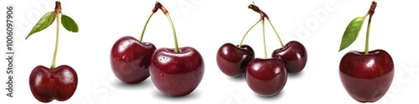 Obraz Collage of cherry illustrations isolated on white background. Set of PNG isolated fruits.