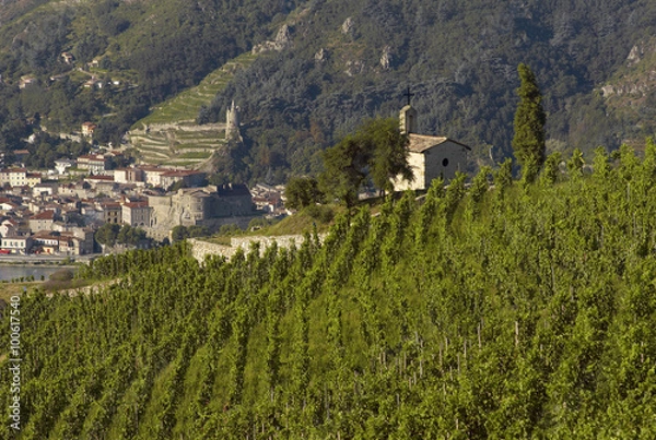 Obraz Hermitage Cote du Rhone