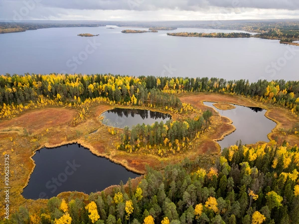 Fototapeta Picturesque view of autumn forest, lake and swamps from a bird's eye view. The beauty of Karelia's nature