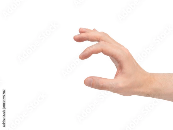 Fototapeta A man's hand holding something small isolated on a white background.