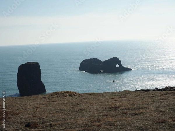 Obraz Island Dyrhólaey