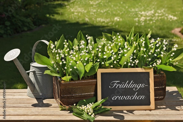 Obraz Blumenschale mit Maiglöckchen