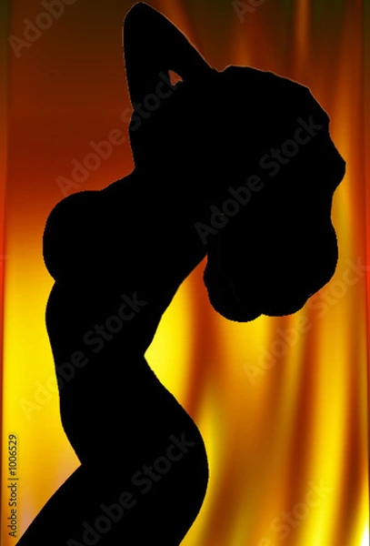 Obraz woman silhouette flames
