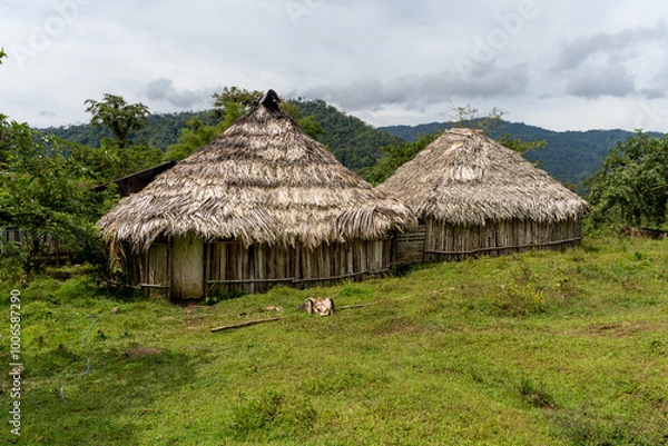 Fototapeta View of the traditional Bribir indigenous hut, made of mud and wood in Talamanca, Limon Costa Rica