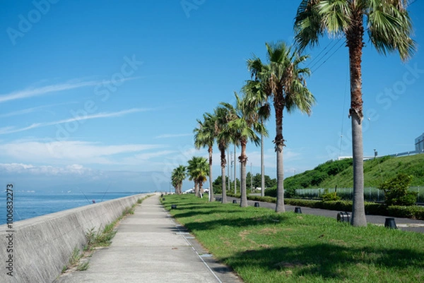 Fototapeta りんくう常滑