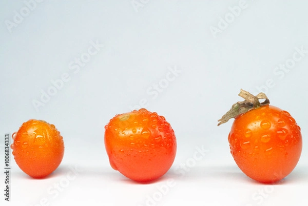 Fototapeta みずみずしいミニトマト