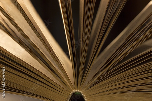 Fototapeta Open book close-up
