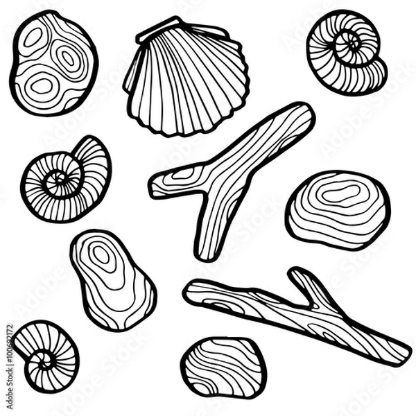 Obraz shells and stones