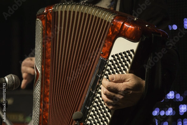 Fototapeta Accordion player