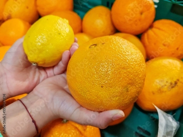 Obraz lemon and orange in hands