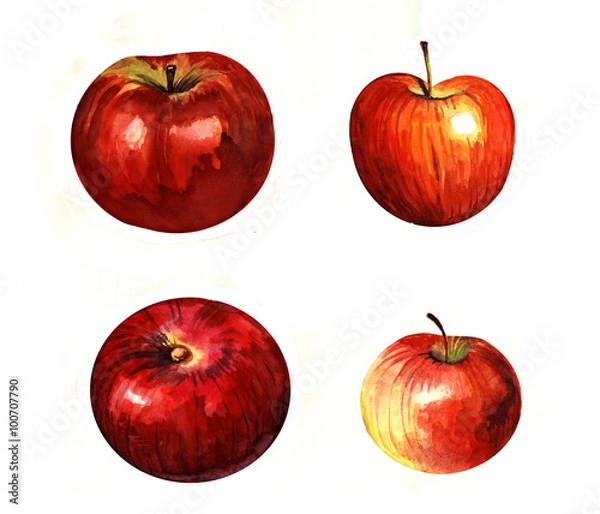 Obraz apples, watercolor