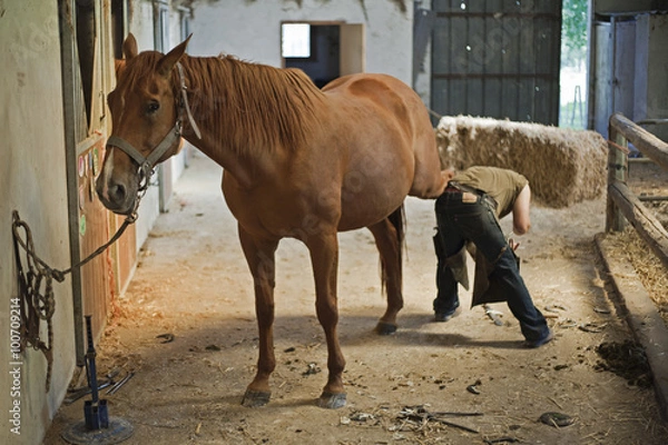Fototapeta Maréchal ferrant