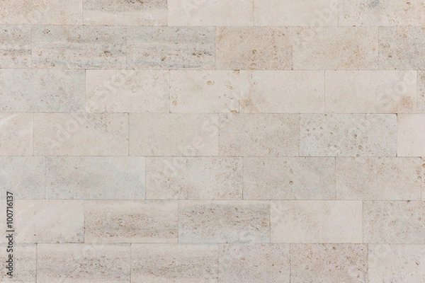 Obraz Old wall with natural pattern. Coquina texture.