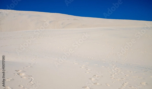 Obraz Dune at Tangalooma Island