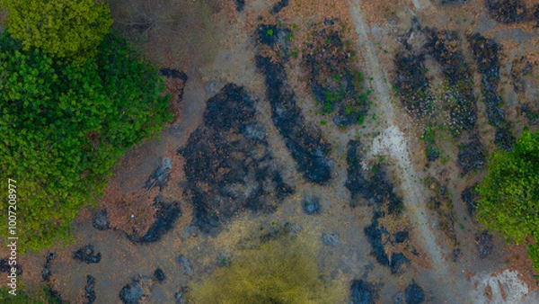 Fototapeta Captivating aerial view showcasing the contrasting textures of rugged terrain and lush foliage