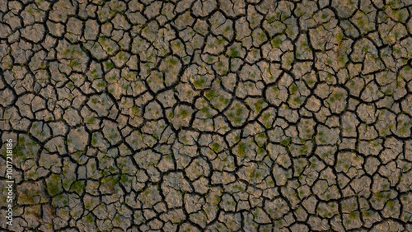 Fototapeta Captivating aerial view of drought-resistant earth, showcasing a mosaic of cracked soil patterns interspersed with resilient green plants