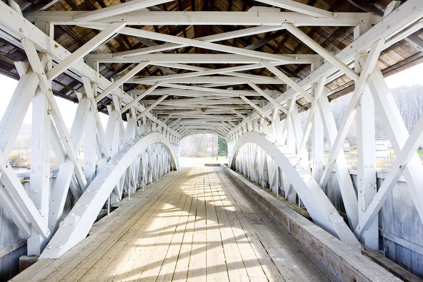 podgląd zdjęcia