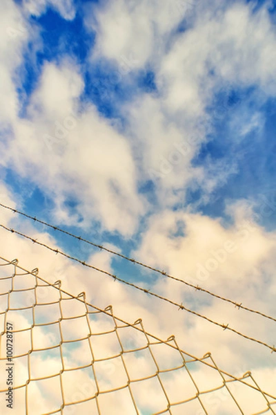 Fototapeta wire fence (14)