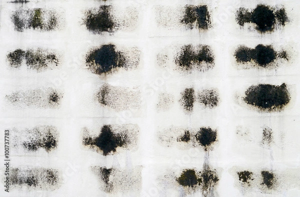 Obraz Black mold.