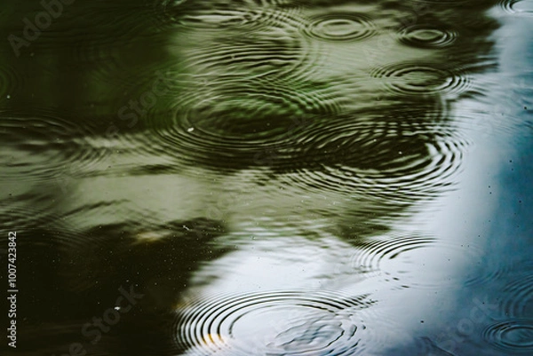 Obraz A body of water with raindrops creating ripples on the surface. The ripples are scattered throughout the water, creating a sense of movement and energy