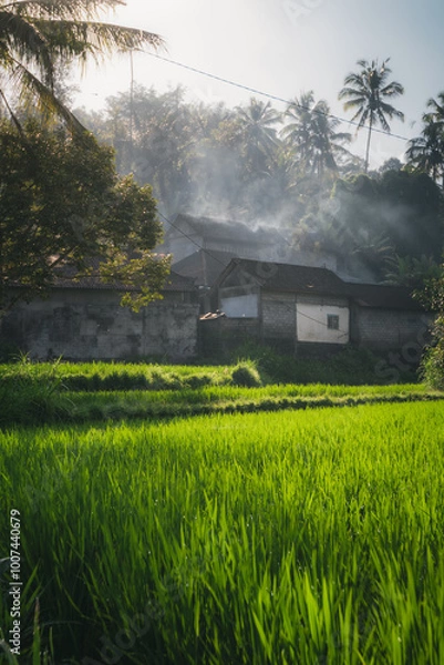 Obraz Rice fields and traditional houses in a small village in Bali.