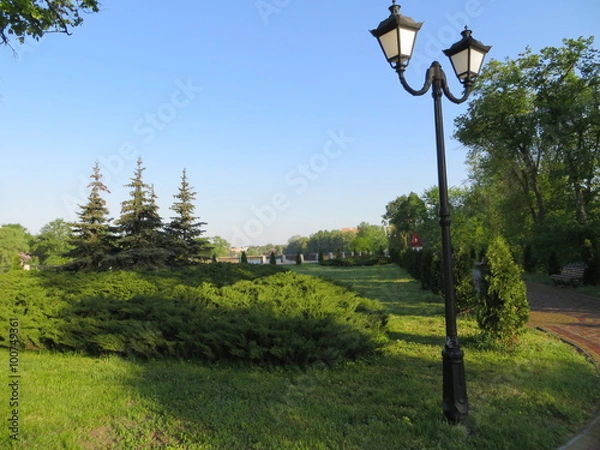 Fototapeta The park in Myrgorod
