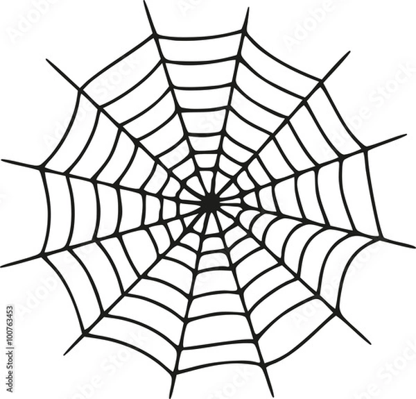 Fototapeta Spider web realistic