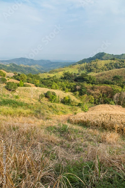 Obraz Shifting Cultivation in Northern Thailand